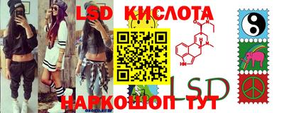 ПСИЛОЦИБИНОВЫЕ ГРИБЫ Кингисепп