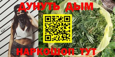 ПСИЛОЦИБИНОВЫЕ ГРИБЫ Кингисепп